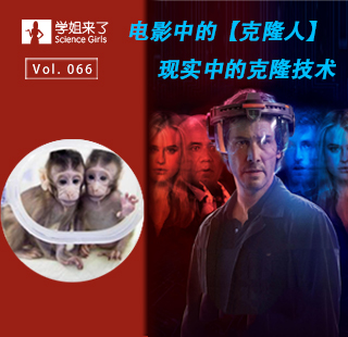 技术突破引发伦理风暴