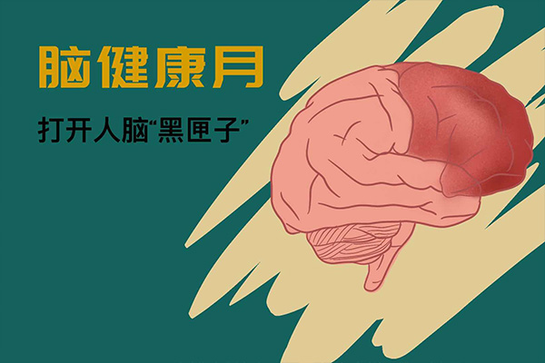 黑匣子;脑网络组图谱;脑疾病;精准诊疗