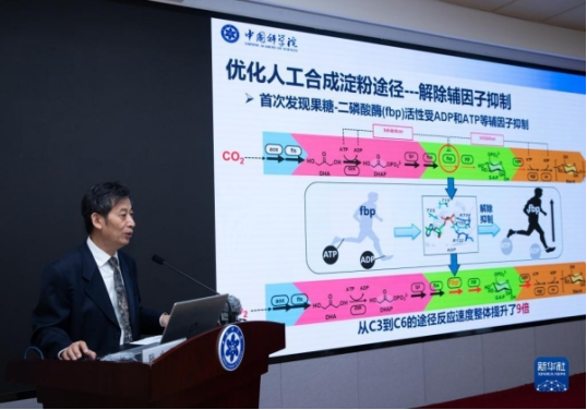 人工合成淀粉的应用,人工合成的淀粉和自然淀粉一样吗