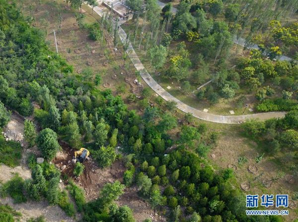冬奥可持续发展理念,生态保护与冬奥工程,动植物保护措施 冬奥可持续发展理念,生态保护与冬奥工程,动植物保护措施
