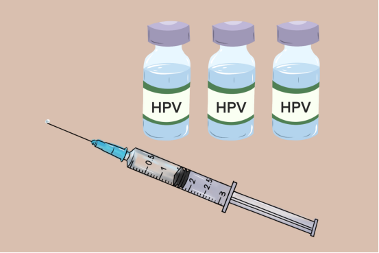 人乳头瘤病毒类型,人乳头瘤病毒,人乳头瘤病毒的分型