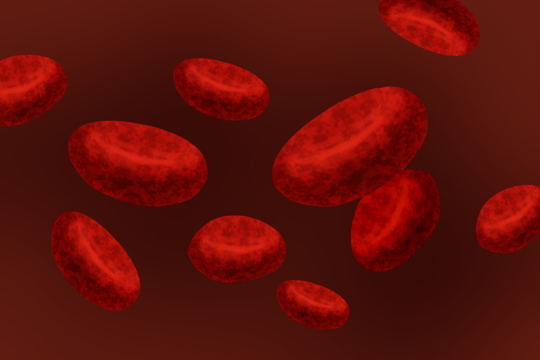 什么是贫血,导致贫血的原因,贫血有哪些症状