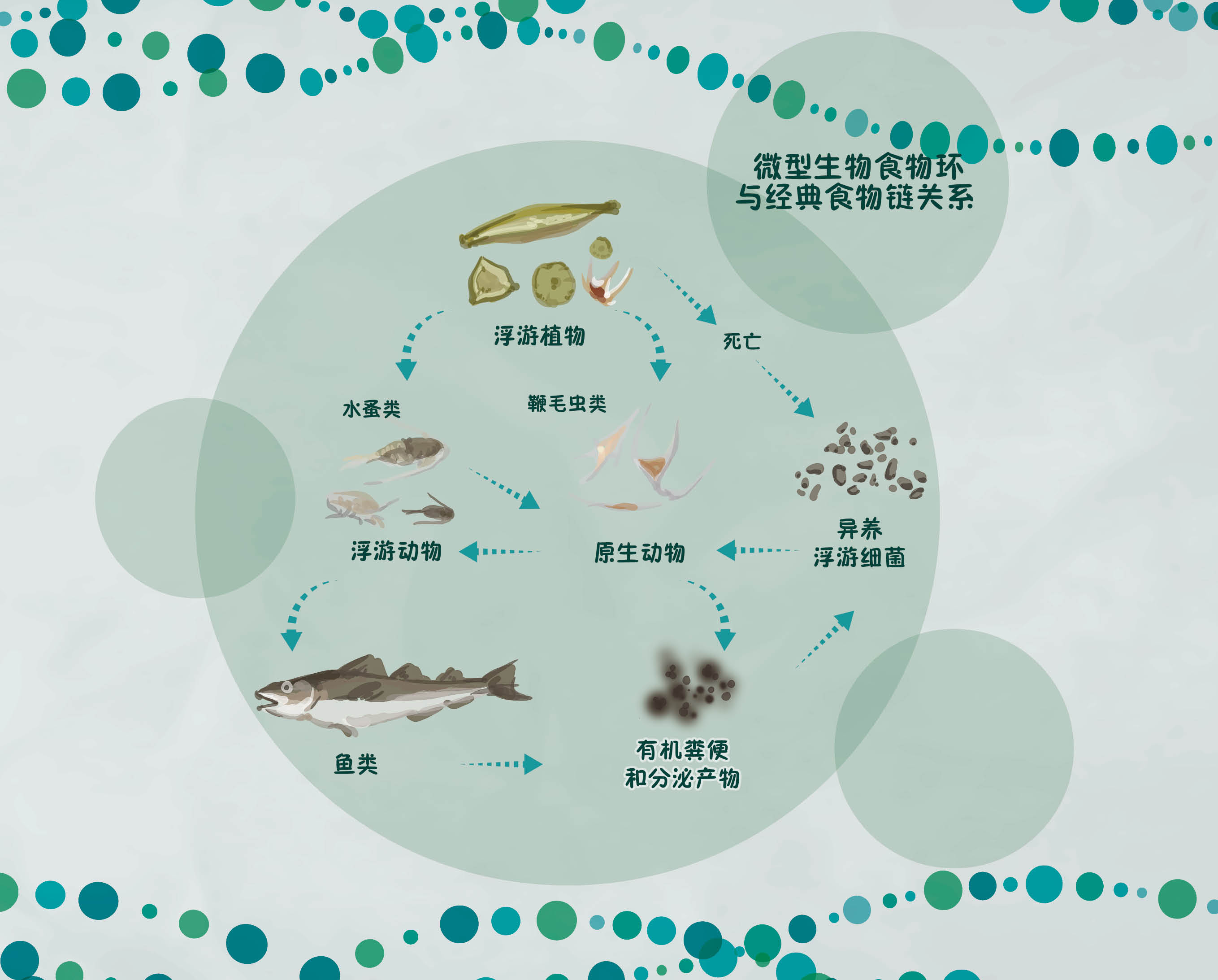 不简单的食物链