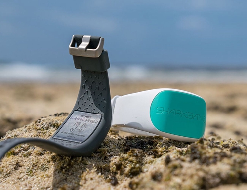 杀人动物排行榜