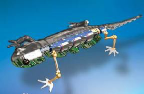 机器;动物 机器;动物