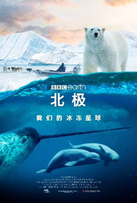 《北极：我们的冰冻星球》