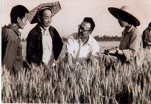 余松烈,中国工程院院士,中国作物栽培学与耕作学奠基人之一