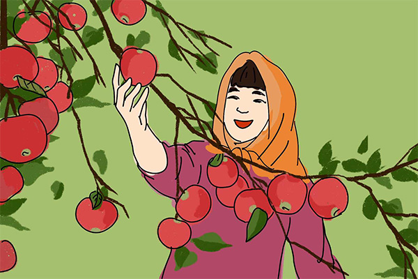 中国农民丰收节;果树院士;苹果