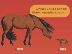 五千万年前的黎明