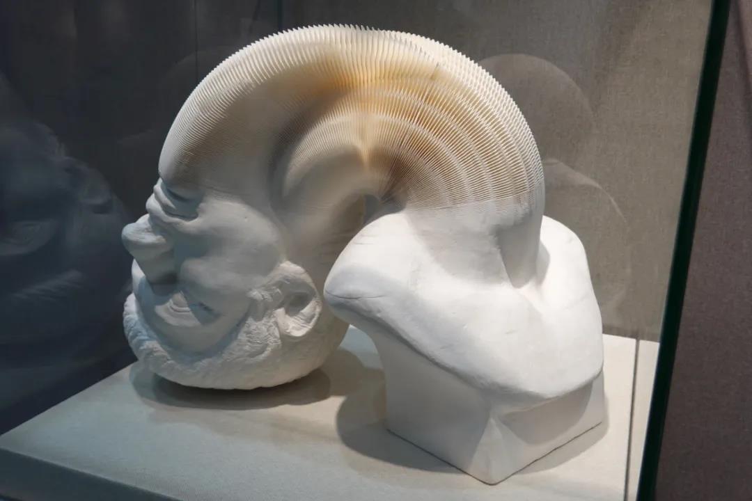 李洪波;罗马青年 李洪波;罗马青年