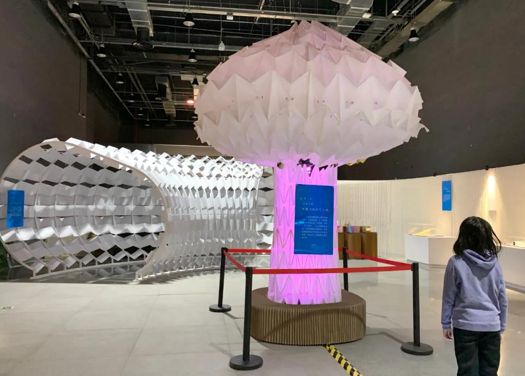 "纸来折往"展区通过折纸与数学,工程,技术等学科的结合,揭示了现代