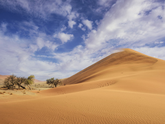 《沙丘》——气候变化让人心情不好？