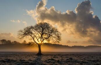 ¿Por qué la nube puede ¿Por qué la nube puede