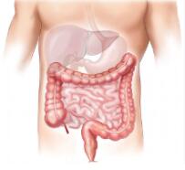 Why Liver Matters? Why Liver Matters?