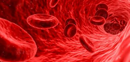 What Are Stem Cells? What Are Stem Cells?