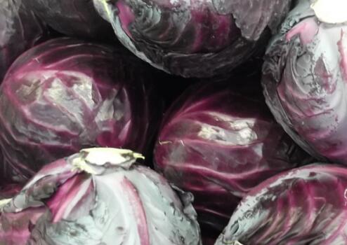 How Does the Tongue Taste? How Does the Tongue Taste?