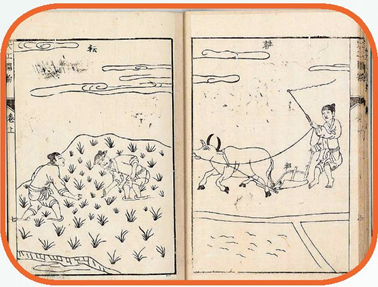  《天工开物》中的畜力犁