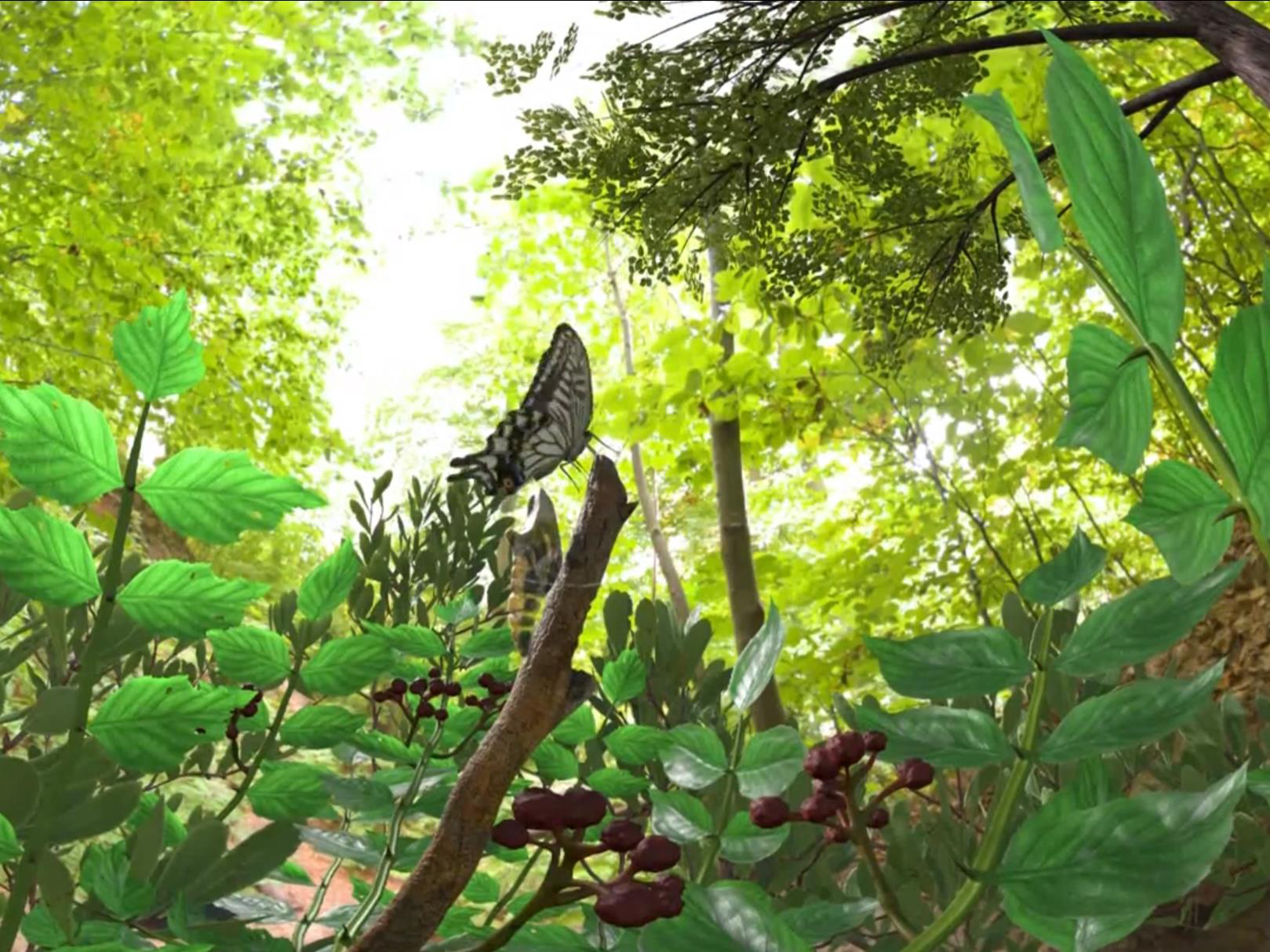 改变生命