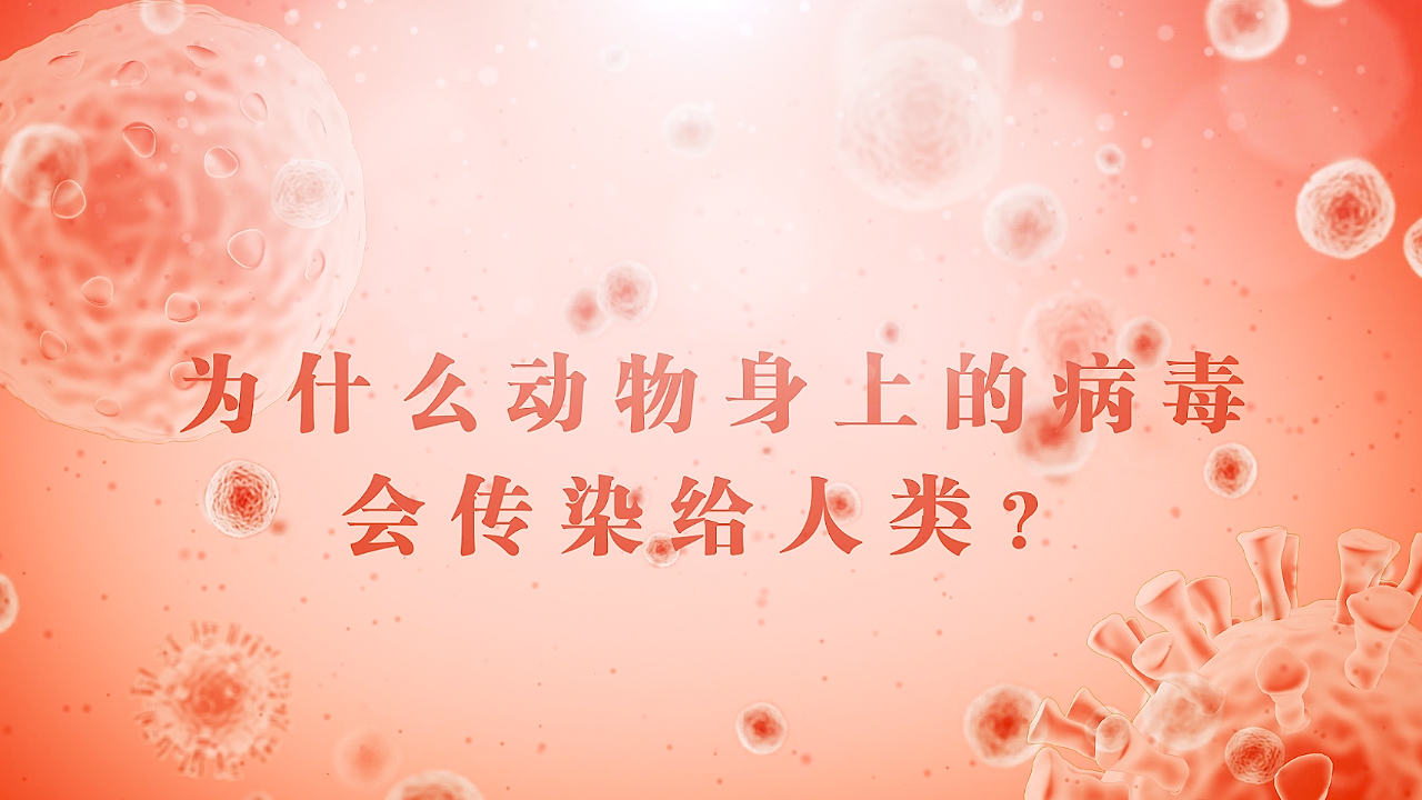 为什么动物身上的病毒会传给人类？