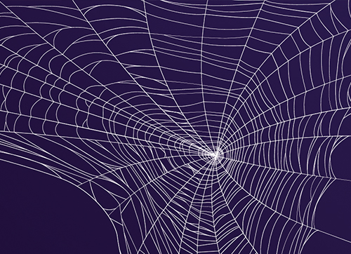 【科幻世界】科学家把蜘蛛丝当光纤，制作生物传感器