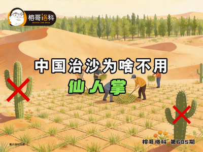 【榕哥烙科】第605集：中国治沙为啥不用仙人掌