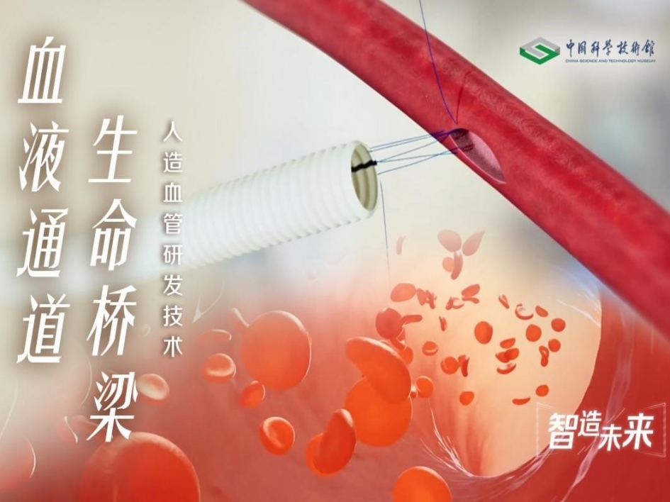 【智造未来】血液通道 生命桥梁——人造血管研发技术
