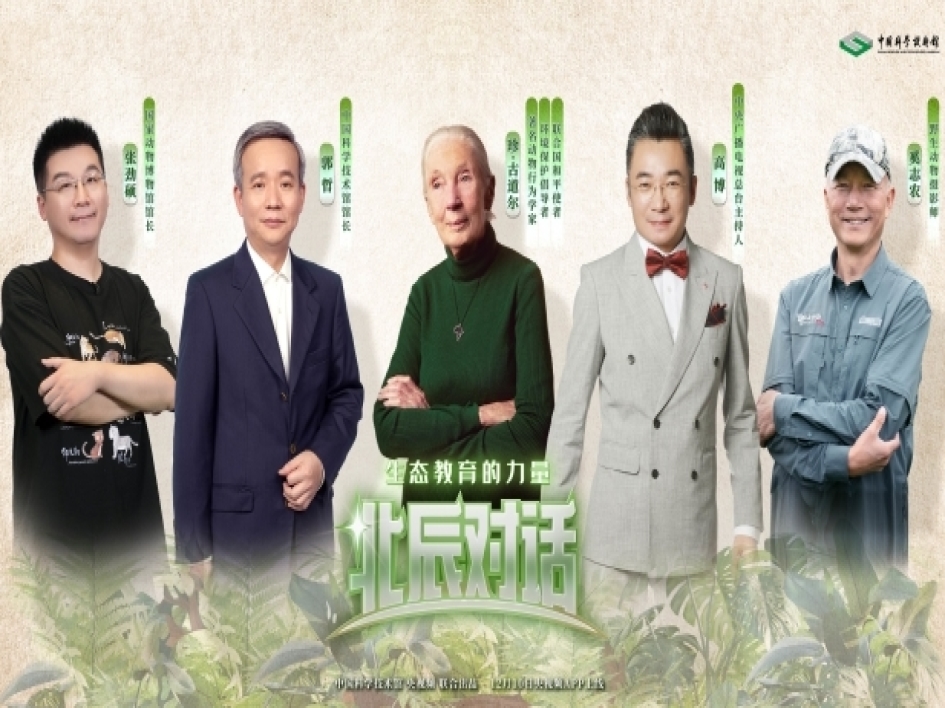 生态教育的力量