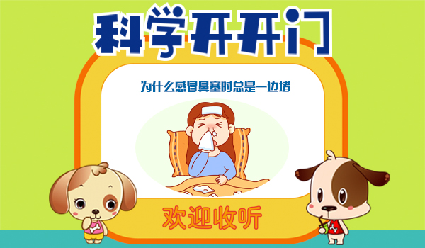 首页幻灯4