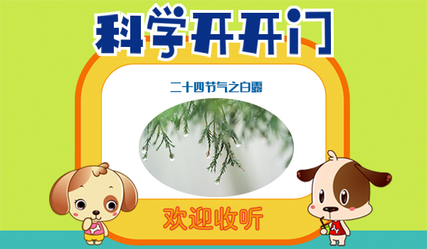 首页幻灯4