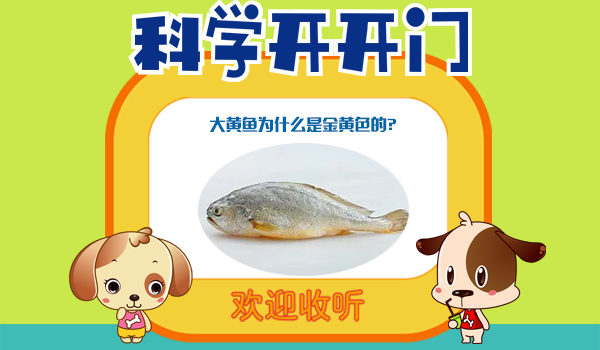 中国数字科技馆