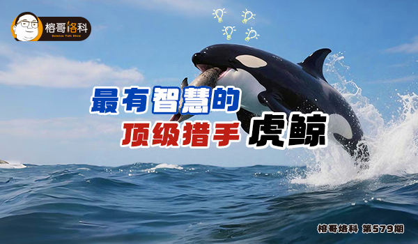 首頁幻燈2