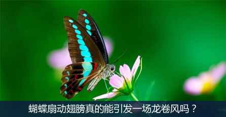 蝴蝶扇动翅膀真的能引发一场龙卷风吗?