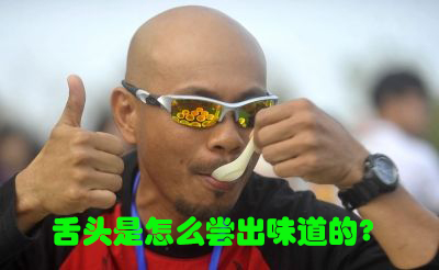 舌头是怎么尝出味道的?