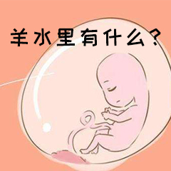 羊水里有什么?
