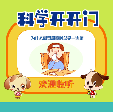 第361集 为什么感冒鼻塞时总是一边堵