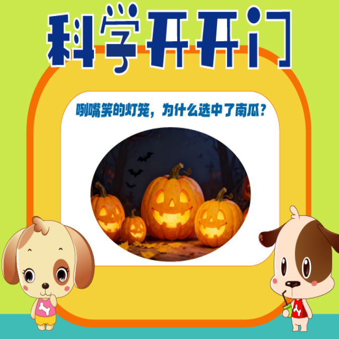 【科學開開門】第468集 咧嘴笑的燈籠，為什么選中了南瓜？