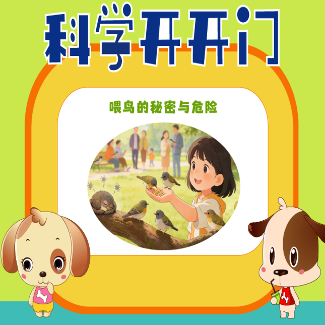 【科学开开门】第474集 喂鸟的秘密与危险