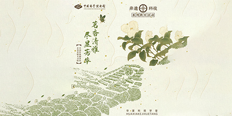中国传统制茶技艺及其相关习俗——“文化与自然遗产日”专场体验活动