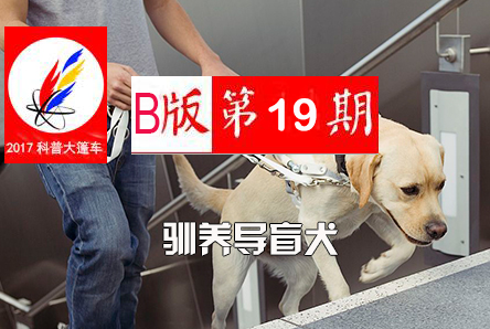 【科普大篷车】2017年科普大篷车B版第19期《驯养导盲犬》
