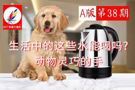 【科普大篷车】生活中的这些水能喝吗+动物灵巧的手