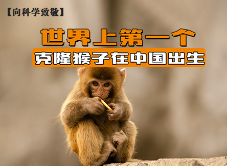 【向科学致敬】第81集 世界上第一个克隆猴子在中国出生