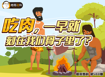 【榕哥烙科】第488期：吃肉，一早就刻在我们骨子里了