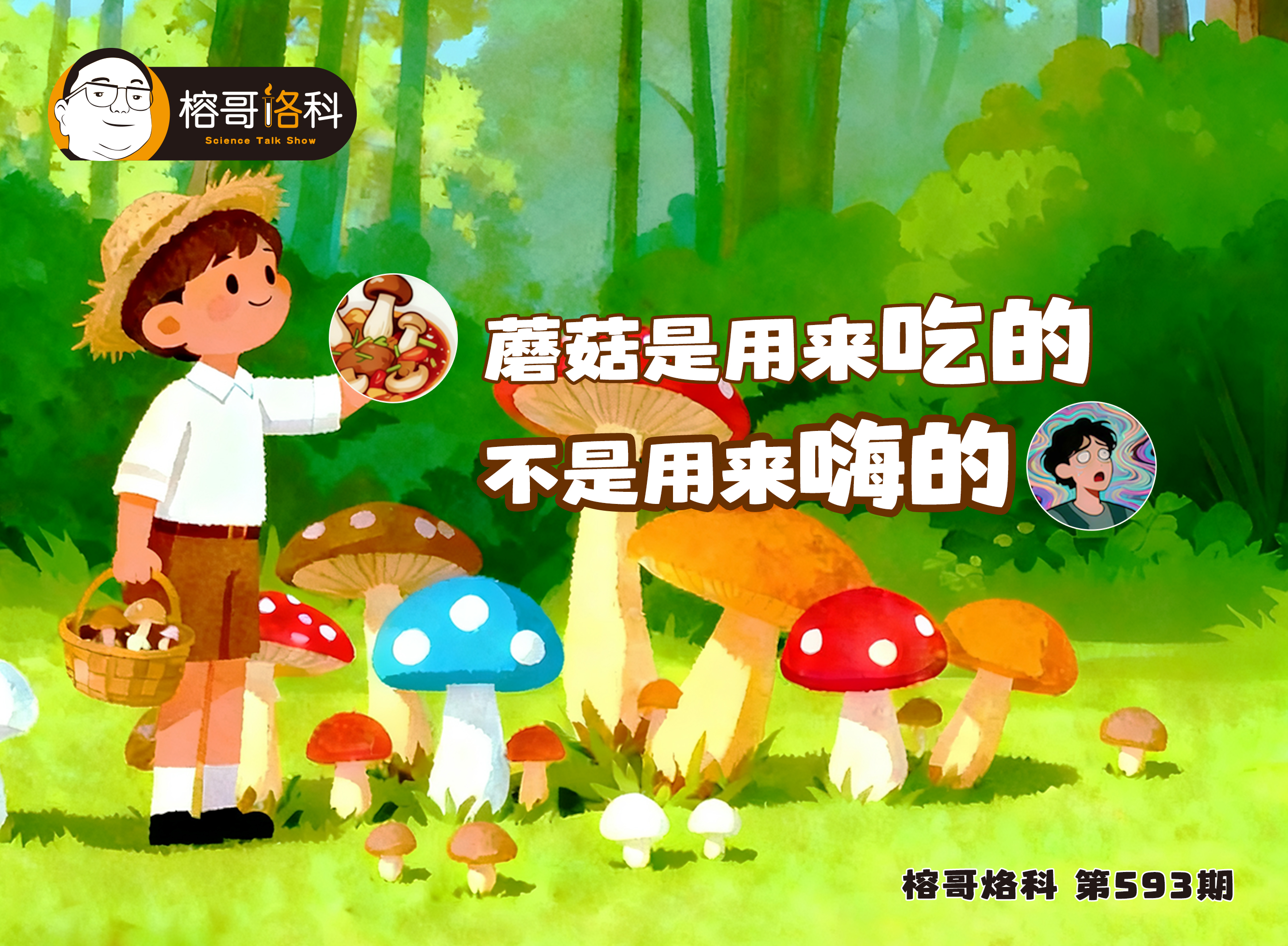 【榕哥烙科】第573期：蘑菇是用来吃的不是用来嗨的