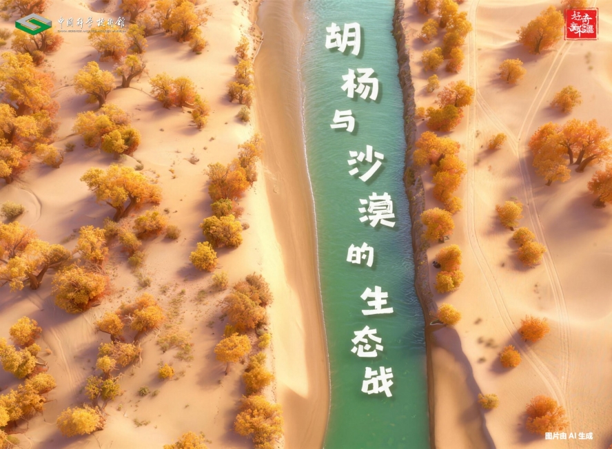 胡杨与沙漠的生态战