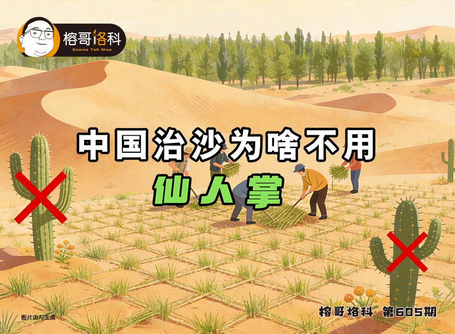 【榕哥烙科】第605集：中国治沙为啥不用仙人掌