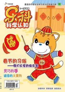 《乐科》的介绍