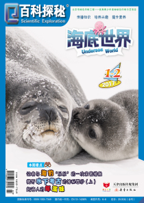 《百科探秘·海底世界》