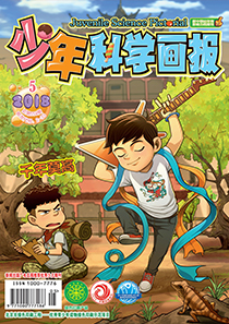 《少年科学画报》