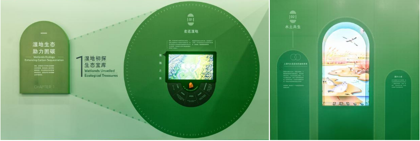 湿地生态系统,循环经济 湿地生态系统,循环经济