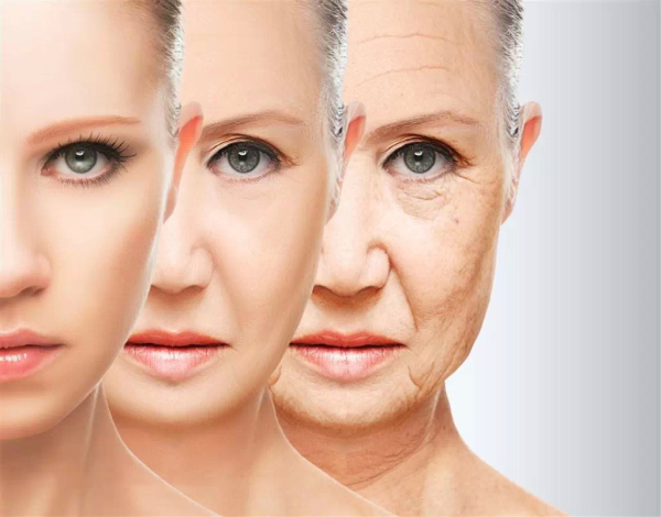 皮肤,老化,衰老